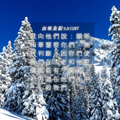 Picture 04 - 出 埃 及 記 5:21 CUVT - 就 向 他 們 說 ： 願 耶 和 華 鑒 察 - Bible Verse Picture