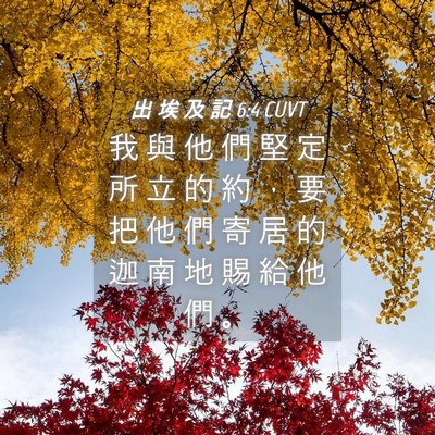 Picture 04 - 出 埃 及 記 6:4 CUVT - 我 與 他 們 堅 定 所 立 的 約 ， 要 - Bible Verse Picture