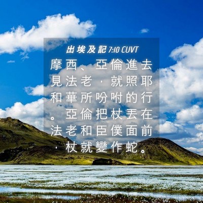 Picture 04 - 出 埃 及 記 7:10 CUVT - 摩 西 、 亞 倫 進 去 見 法 老 ， 就 - Bible Verse Picture