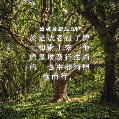 Picture 04 - 出 埃 及 記 7:11 CUVT - 於 是 法 老 召 了 博 士 和 術 士 來 - Bible Verse Picture