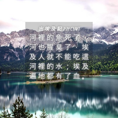 Picture 04 - 出 埃 及 記 7:21 CUVT - 河 裡 的 魚 死 了 ， 河 也 腥 臭 了 - Bible Verse Picture