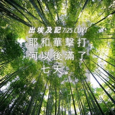 Picture 04 - 出 埃 及 記 7:25 CUVT - 耶 和 華 擊 打 河 以 後 滿 了 七 天 - Bible Verse Picture