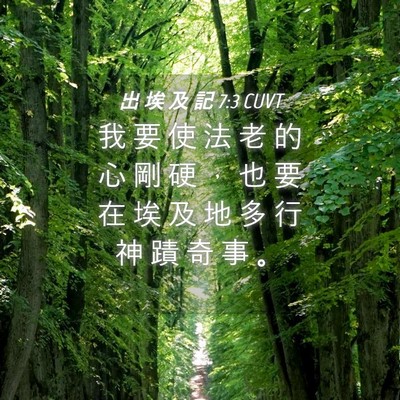 Picture 04 - 出 埃 及 記 7:3 CUVT - 我 要 使 法 老 的 心 剛 硬 ， 也 要 - Bible Verse Picture