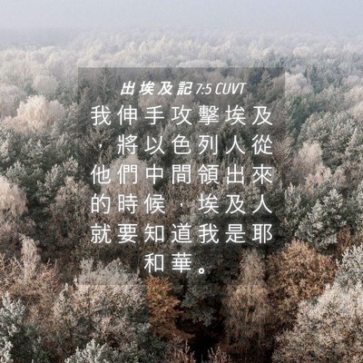 Picture 04 - 出 埃 及 記 7:5 CUVT - 我 伸 手 攻 擊 埃 及 ， 將 以 色 列 - Bible Verse Picture