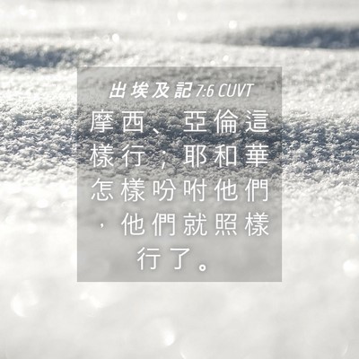 Picture 04 - 出 埃 及 記 7:6 CUVT - 摩 西 、 亞 倫 這 樣 行 ； 耶 和 華 - Bible Verse Picture