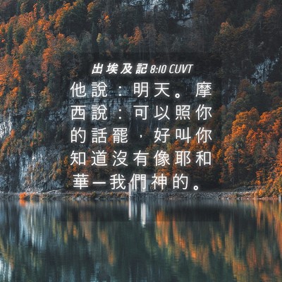 Picture 04 - 出 埃 及 記 8:10 CUVT - 他 說 ： 明 天 。 摩 西 說 ： 可 以 - Bible Verse Picture