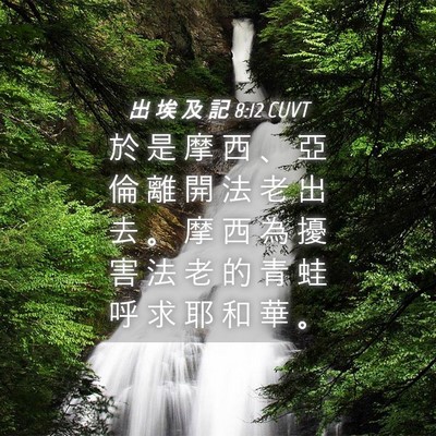 Picture 04 - 出 埃 及 記 8:12 CUVT - 於 是 摩 西 、 亞 倫 離 開 法 老 出 - Bible Verse Picture