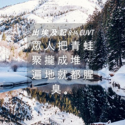 Picture 04 - 出 埃 及 記 8:14 CUVT - 眾 人 把 青 蛙 聚 攏 成 堆 ， 遍 地 - Bible Verse Picture
