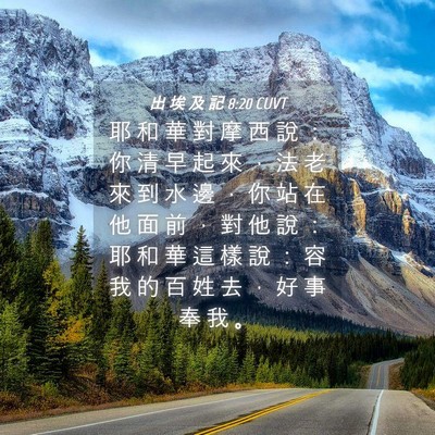 Picture 04 - 出 埃 及 記 8:20 CUVT - 耶 和 華 對 摩 西 說 ： 你 清 早 起 - Bible Verse Picture