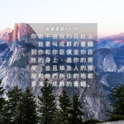 Picture 04 - 出 埃 及 記 8:21 CUVT - 你 若 不 容 我 的 百 姓 去 ， 我 要 - Bible Verse Picture