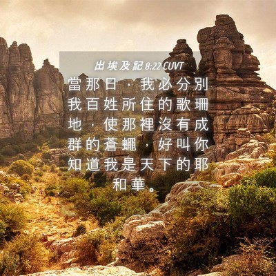 Picture 04 - 出 埃 及 記 8:22 CUVT - 當 那 日 ， 我 必 分 別 我 百 姓 所 - Bible Verse Picture