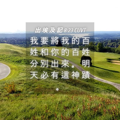 Picture 04 - 出 埃 及 記 8:23 CUVT - 我 要 將 我 的 百 姓 和 你 的 百 姓 - Bible Verse Picture