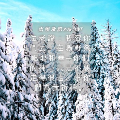 Picture 04 - 出 埃 及 記 8:28 CUVT - 法 老 說 ： 我 容 你 們 去 ， 在 曠 - Bible Verse Picture