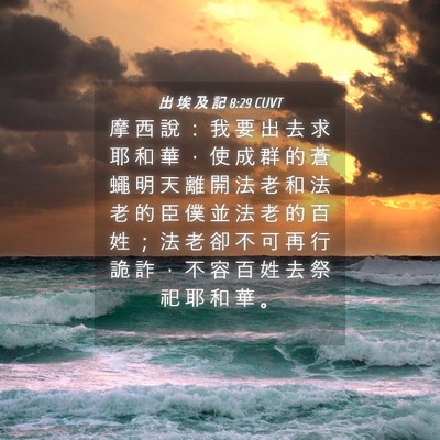 Picture 04 - 出 埃 及 記 8:29 CUVT - 摩 西 說 ： 我 要 出 去 求 耶 和 華 - Bible Verse Picture