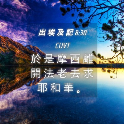 Picture 04 - 出 埃 及 記 8:30 CUVT - 於 是 摩 西 離 開 法 老 去 求 耶 和 - Bible Verse Picture
