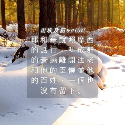 Picture 04 - 出 埃 及 記 8:31 CUVT - 耶 和 華 就 照 摩 西 的 話 行 ， 叫 - Bible Verse Picture