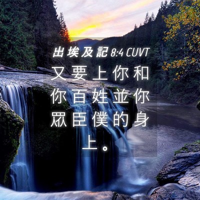 Picture 04 - 出 埃 及 記 8:4 CUVT - 又 要 上 你 和 你 百 姓 並 你 眾 臣 - Bible Verse Picture