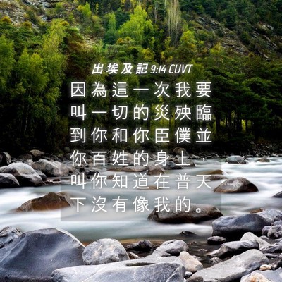 Picture 04 - 出 埃 及 記 9:14 CUVT - 因 為 這 一 次 我 要 叫 一 切 的 災 - Bible Verse Picture