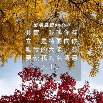 Picture 04 - 出 埃 及 記 9:16 CUVT - 其 實 ， 我 叫 你 存 立 ， 是 特 要 - Bible Verse Picture