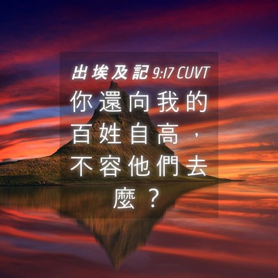 Picture 04 - 出 埃 及 記 9:17 CUVT - 你 還 向 我 的 百 姓 自 高 ， 不 容 - Bible Verse Picture