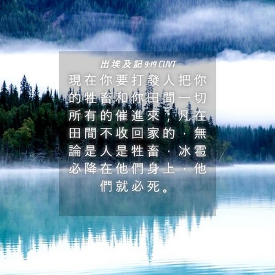 Picture 04 - 出 埃 及 記 9:19 CUVT - 現 在 你 要 打 發 人 把 你 的 牲 畜 - Bible Verse Picture