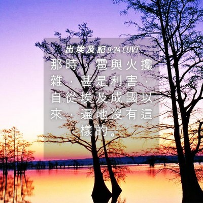 Picture 04 - 出 埃 及 記 9:24 CUVT - 那 時 ， 雹 與 火 攙 雜 ， 甚 是 利 - Bible Verse Picture