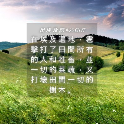 Picture 04 - 出 埃 及 記 9:25 CUVT - 在 埃 及 遍 地 ， 雹 擊 打 了 田 間 - Bible Verse Picture