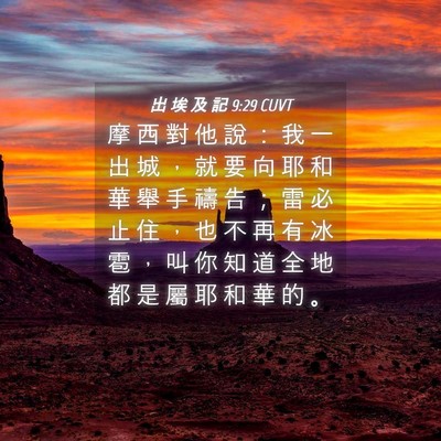 Picture 04 - 出 埃 及 記 9:29 CUVT - 摩 西 對 他 說 ： 我 一 出 城 ， 就 - Bible Verse Picture