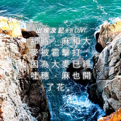 Picture 04 - 出 埃 及 記 9:31 CUVT - 那 時 ， 麻 和 大 麥 被 雹 擊 打 ； - Bible Verse Picture
