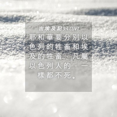 Picture 04 - 出 埃 及 記 9:4 CUVT - 耶 和 華 要 分 別 以 色 列 的 牲 畜 - Bible Verse Picture