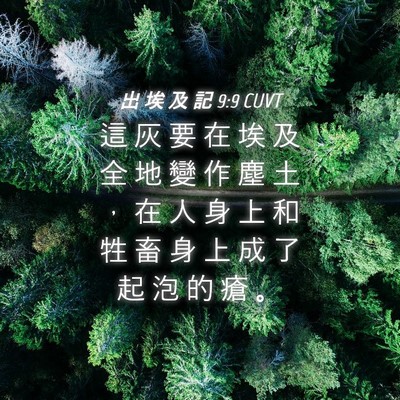 Picture 04 - 出 埃 及 記 9:9 CUVT - 這 灰 要 在 埃 及 全 地 變 作 塵 土 - Bible Verse Picture