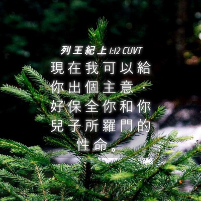 Picture 04 - 列 王 紀 上 1:12 CUVT - 現 在 我 可 以 給 你 出 個 主 意 ， - Bible Verse Picture