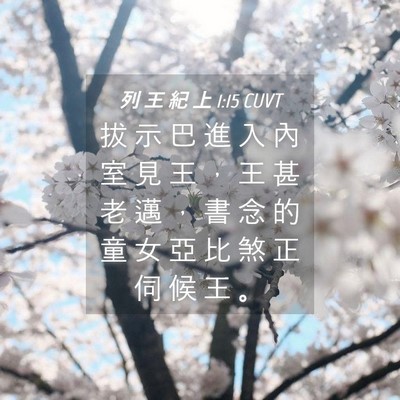 Picture 04 - 列 王 紀 上 1:15 CUVT - 拔 示 巴 進 入 內 室 見 王 ， 王 甚 - Bible Verse Picture
