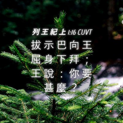 Picture 04 - 列 王 紀 上 1:16 CUVT - 拔 示 巴 向 王 屈 身 下 拜 ； 王 說 - Bible Verse Picture