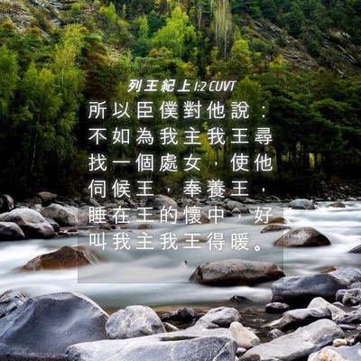 Picture 04 - 列 王 紀 上 1:2 CUVT - 所 以 臣 僕 對 他 說 ： 不 如 為 我 - Bible Verse Picture
