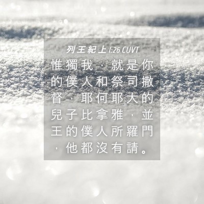 Picture 04 - 列 王 紀 上 1:26 CUVT - 惟 獨 我 ， 就 是 你 的 僕 人 和 祭 - Bible Verse Picture