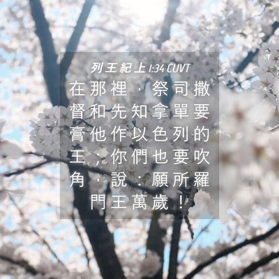 Picture 04 - 列 王 紀 上 1:34 CUVT - 在 那 裡 ， 祭 司 撒 督 和 先 知 拿 - Bible Verse Picture