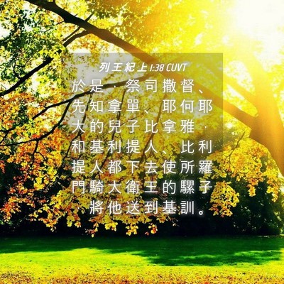 Picture 04 - 列 王 紀 上 1:38 CUVT - 於 是 ， 祭 司 撒 督 、 先 知 拿 單 - Bible Verse Picture