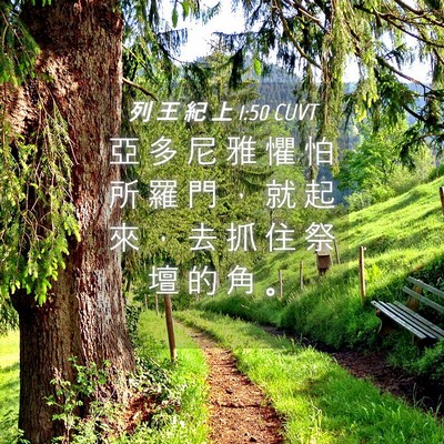 Picture 04 - 列 王 紀 上 1:50 CUVT - 亞 多 尼 雅 懼 怕 所 羅 門 ， 就 起 - Bible Verse Picture
