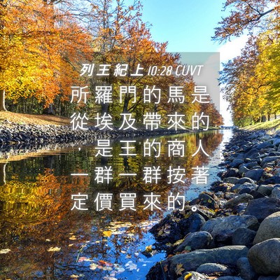 Picture 04 - 列 王 紀 上 10:28 CUVT - 所 羅 門 的 馬 是 從 埃 及 帶 來 的 - Bible Verse Picture