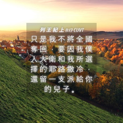 Picture 04 - 列 王 紀 上 11:13 CUVT - 只 是 我 不 將 全 國 奪 回 ， 要 因 - Bible Verse Picture