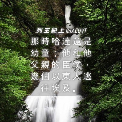 Picture 04 - 列 王 紀 上 11:17 CUVT - 那 時 哈 達 還 是 幼 童 ； 他 和 他 - Bible Verse Picture