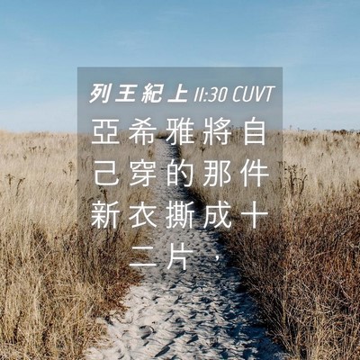 Picture 04 - 列 王 紀 上 11:30 CUVT - 亞 希 雅 將 自 己 穿 的 那 件 新 衣 - Bible Verse Picture