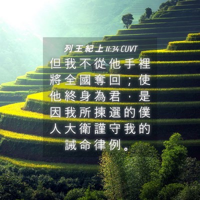 Picture 04 - 列 王 紀 上 11:34 CUVT - 但 我 不 從 他 手 裡 將 全 國 奪 回 - Bible Verse Picture