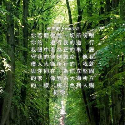 Picture 04 - 列 王 紀 上 11:38 CUVT - 你 若 聽 從 我 一 切 所 吩 咐 你 的 - Bible Verse Picture