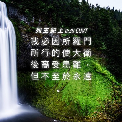 Picture 04 - 列 王 紀 上 11:39 CUVT - 我 必 因 所 羅 門 所 行 的 使 大 衛 - Bible Verse Picture