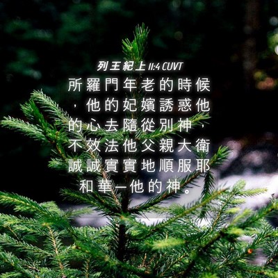 Picture 04 - 列 王 紀 上 11:4 CUVT - 所 羅 門 年 老 的 時 候 ， 他 的 妃 - Bible Verse Picture