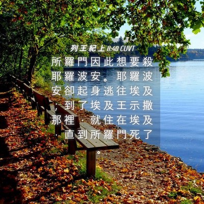 Picture 04 - 列 王 紀 上 11:40 CUVT - 所 羅 門 因 此 想 要 殺 耶 羅 波 安 - Bible Verse Picture