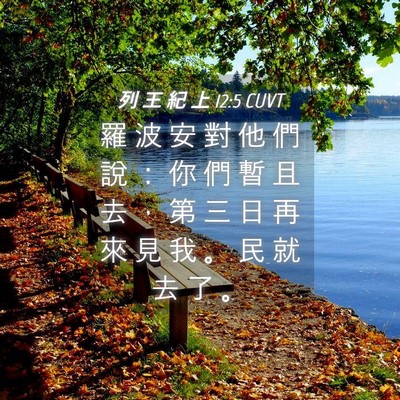 Picture 04 - 列 王 紀 上 12:5 CUVT - 羅 波 安 對 他 們 說 ： 你 們 暫 且 - Bible Verse Picture