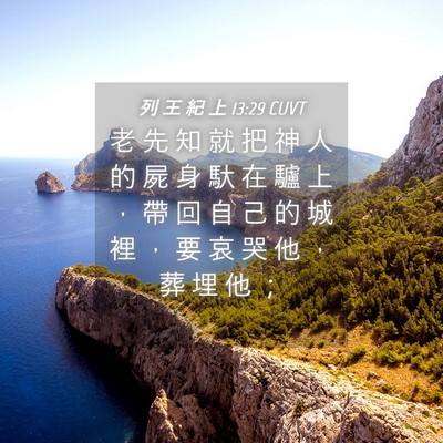 Picture 04 - 列 王 紀 上 13:29 CUVT - 老 先 知 就 把 神 人 的 屍 身 馱 在 - Bible Verse Picture